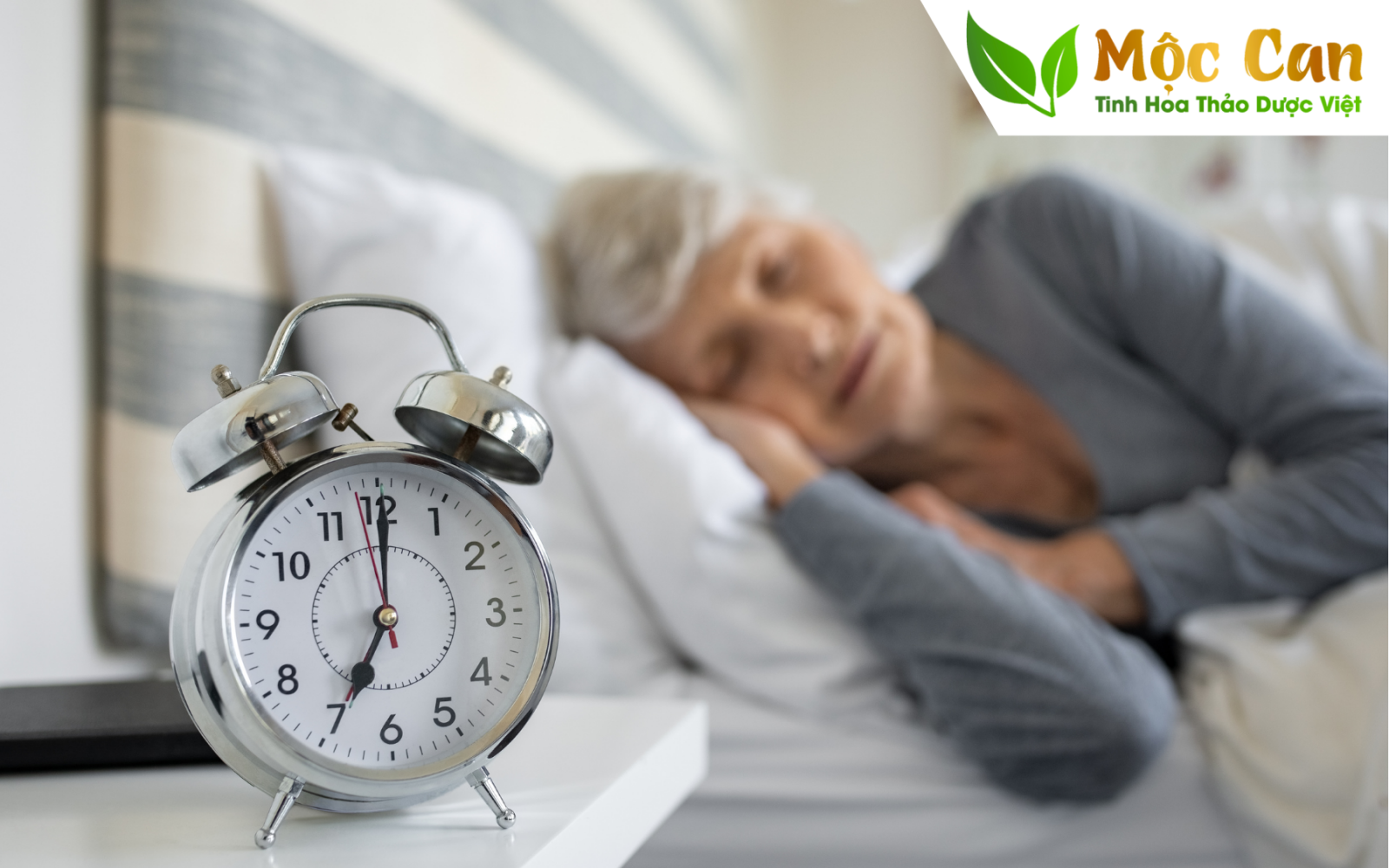 Những ai có thể dùng Trà đinh lăng? 2
